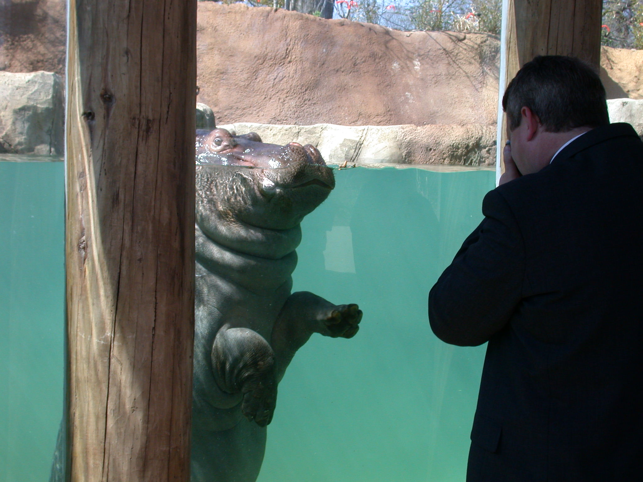 St. Louis Zoo Rivers Edge Area III