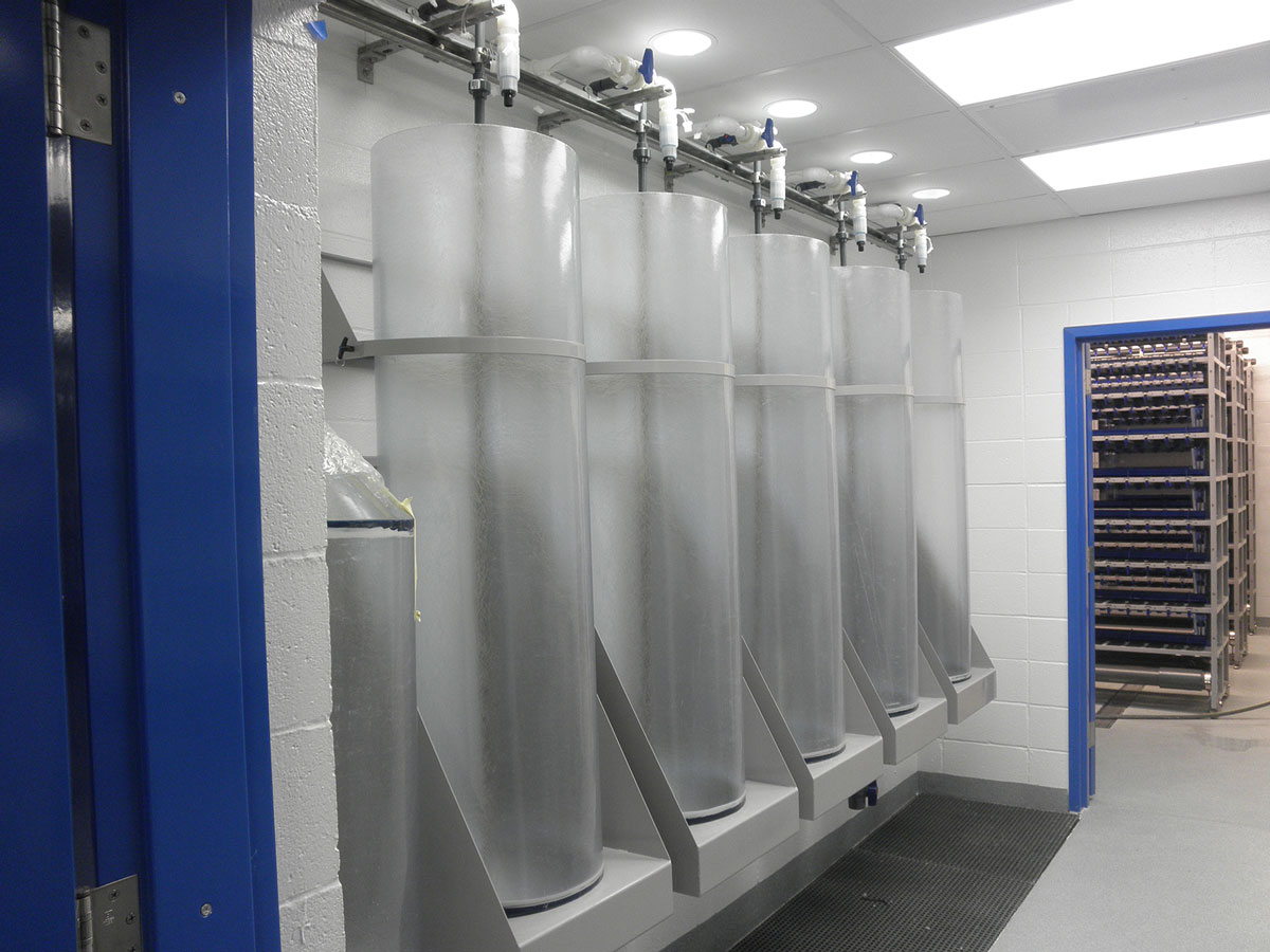 Washington University School of Medicine, Zebrafish Laboratory