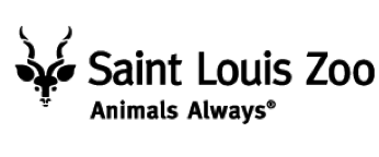 animals animals